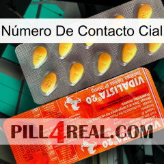 Número De Contacto Cial new01